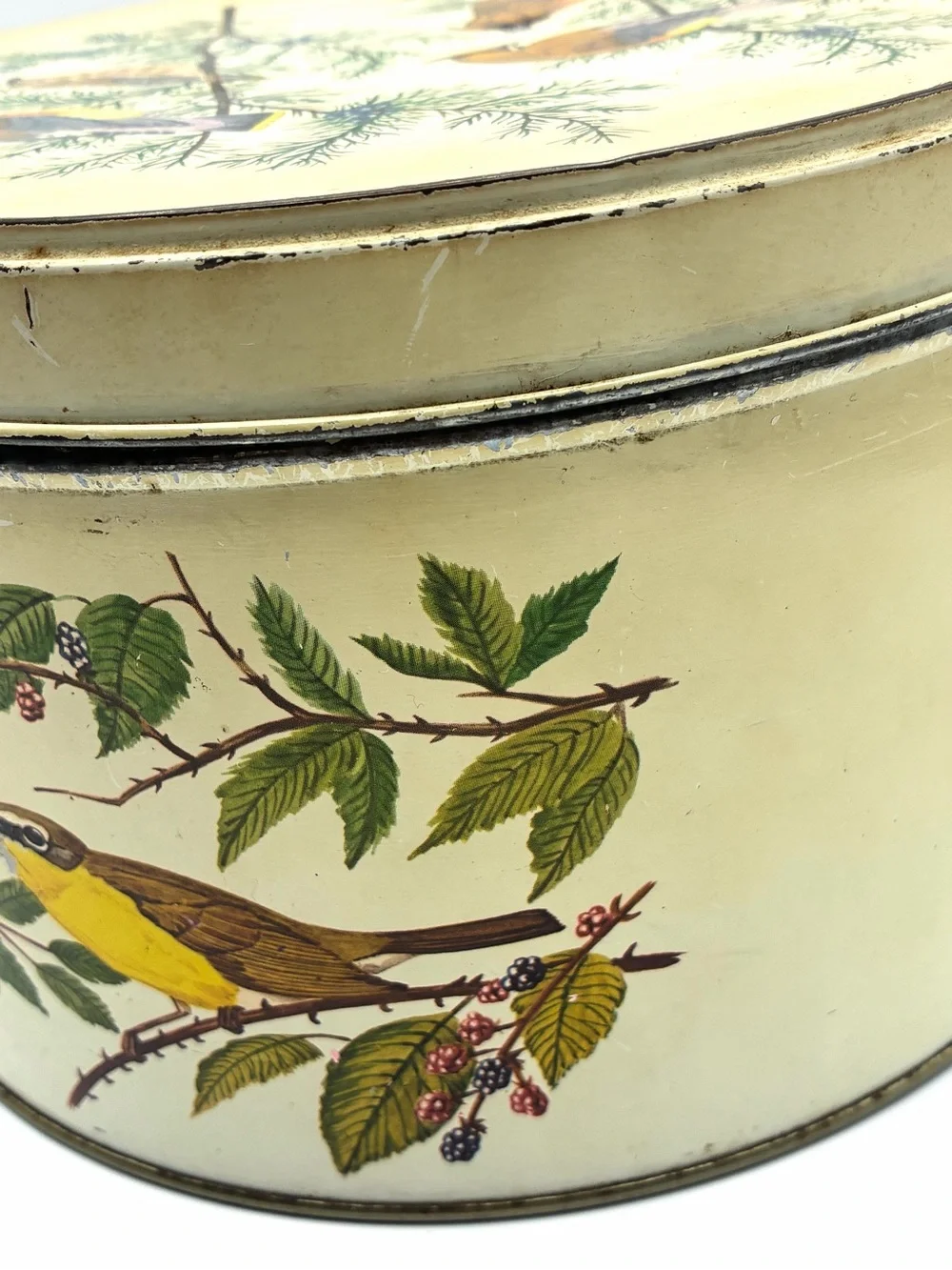 Vintage Tom Sturgis Bird Tin Round Metal Storage Box Cottagecore